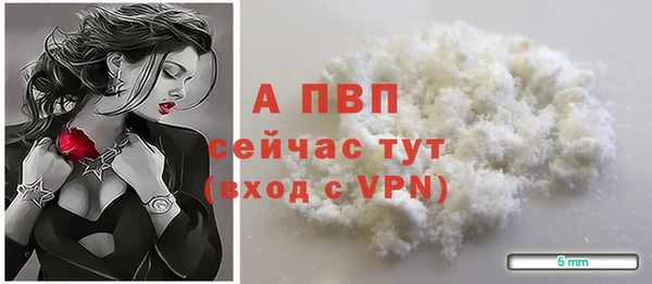 ECSTASY Липки