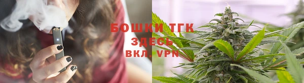 дживик Ладушкин