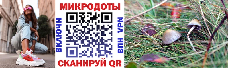 Галлюциногенные грибы ЛСД  купить наркотик  Кочубеевское 